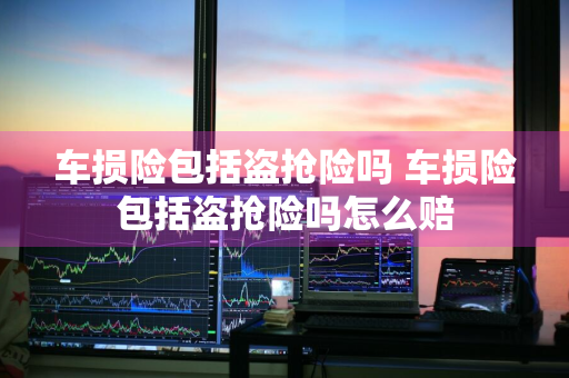 车损险包括盗抢险吗 车损险包括盗抢险吗怎么赔