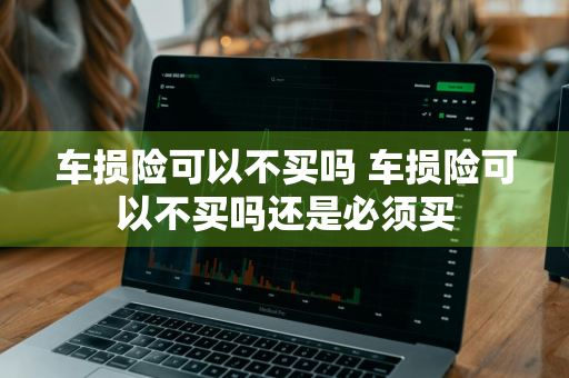 车损险可以不买吗 车损险可以不买吗还是必须买