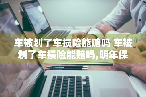 车被划了车损险能赔吗 车被划了车损险能赔吗,明年保险会贵吗