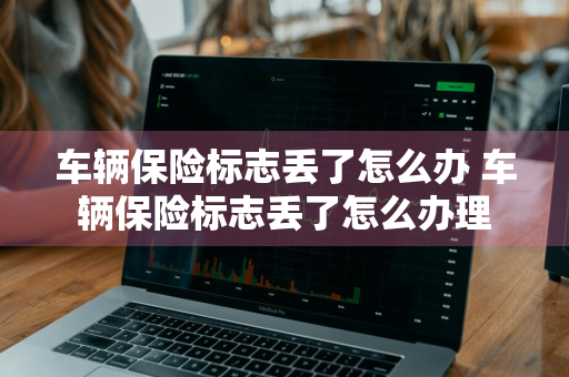 车辆保险标志丢了怎么办 车辆保险标志丢了怎么办理
