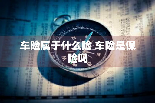 车险属于什么险 车险是保险吗