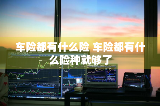 车险都有什么险 车险都有什么险种就够了