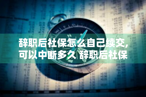 辞职后社保怎么自己续交,可以中断多久 辞职后社保自己续交有哪些方式
