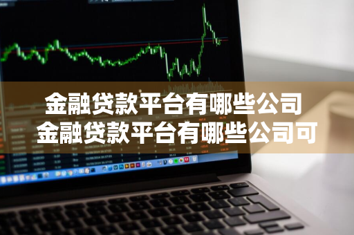 金融贷款平台有哪些公司 金融贷款平台有哪些公司可以做