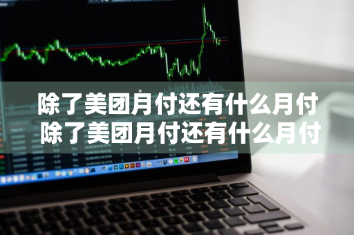 除了美团月付还有什么月付 除了美团月付还有什么月付可以用
