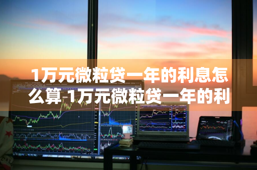 1万元微粒贷一年的利息怎么算 1万元微粒贷一年的利息怎么算的