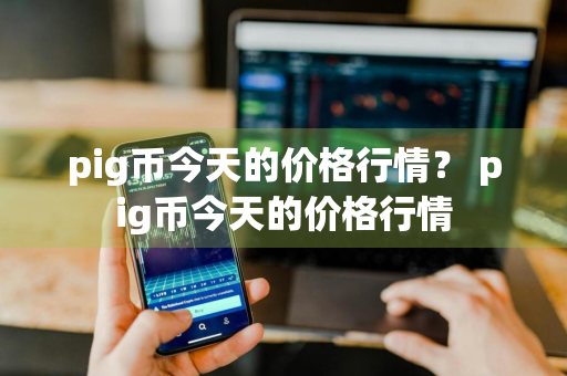 pig币今天的价格行情？ pig币今天的价格行情