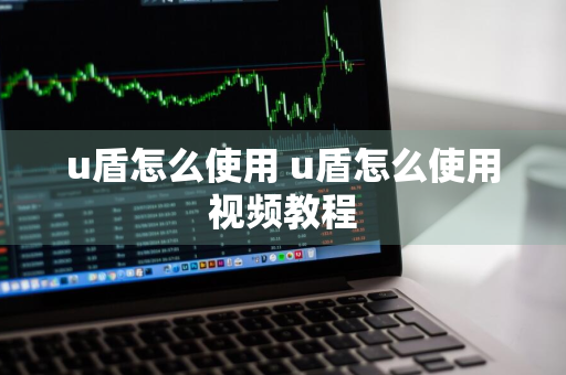 u盾怎么使用 u盾怎么使用视频教程